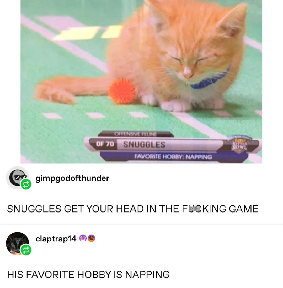 Come on snuggles!