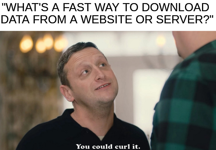 caption: "What's a fast way to download data from a website or server?" image: Tim Robinson from his show I Think You Should Leave saying "You could curl it."