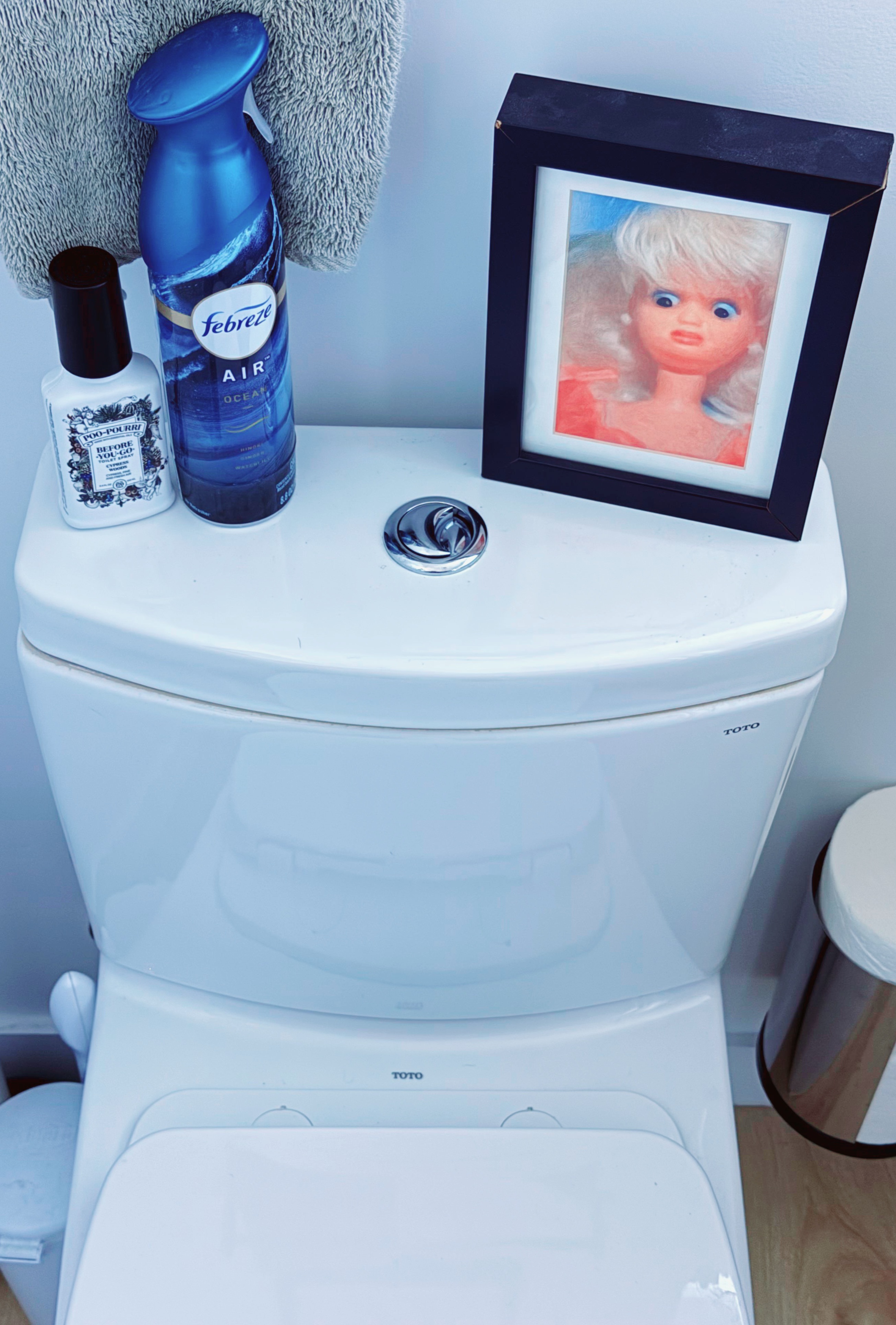 A photo taken next to the toilet with a framed picture of a Barbie doll with horrified face standing next to the flushing button on the top of the toilet