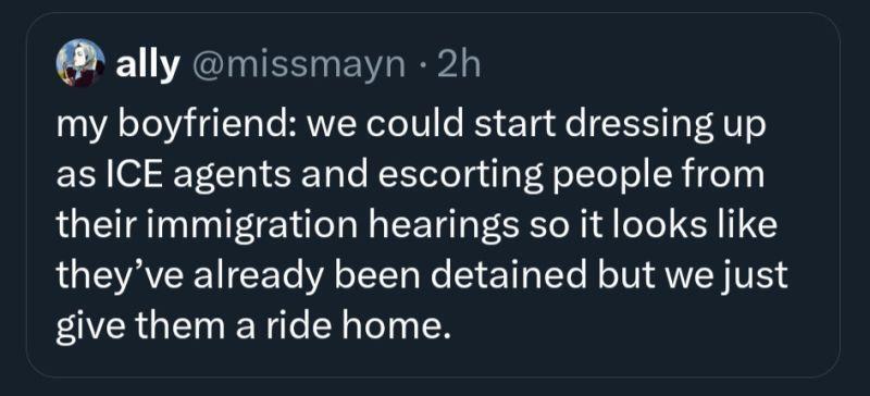 Screenshot of a microblog post: "my boyfriend: we could start dressing up as ICE agents and escorting people from their immigration hearings so it looks like they've already been detained but we just give them a ride home."