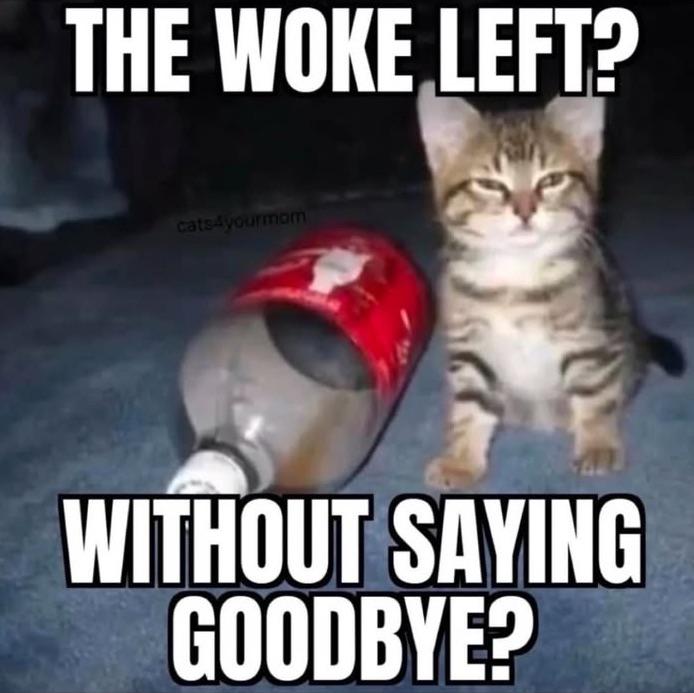 A picture of a perturbed kitten with the caption: "The woke left? Without saying goodbye?"