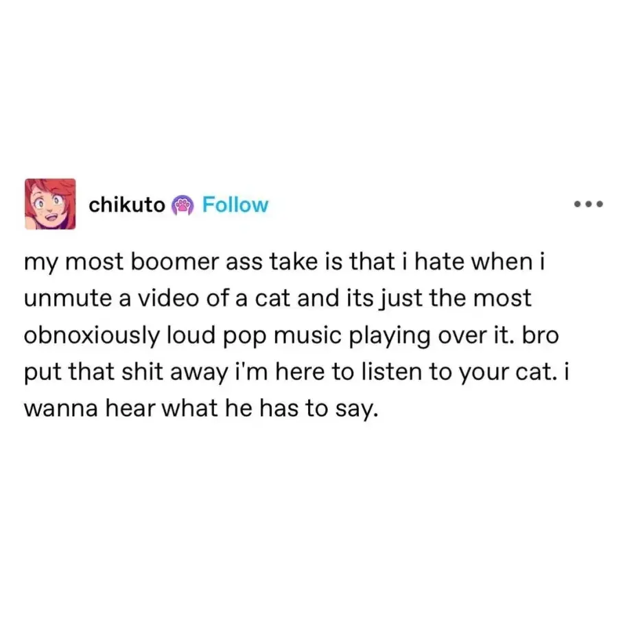 my most boomer ass take is that i hate when i unmute a video of a cat and its just the most obnoxiously loud pop music playing over it. bro put that shit away i'm here to listen to your cat. i wanna hear what he has to say.